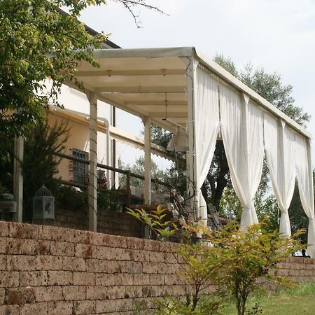 B&B La Casina Di Parrana Collesalvetti Kültér fotó