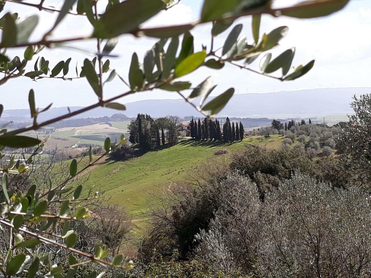 B&B La Casina Di Parrana Collesalvetti Kültér fotó
